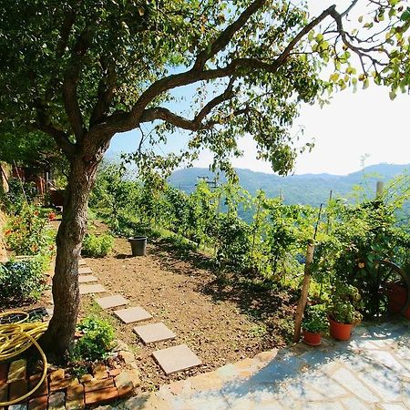 Agriturismo Costamagna Noli Dış mekan fotoğraf