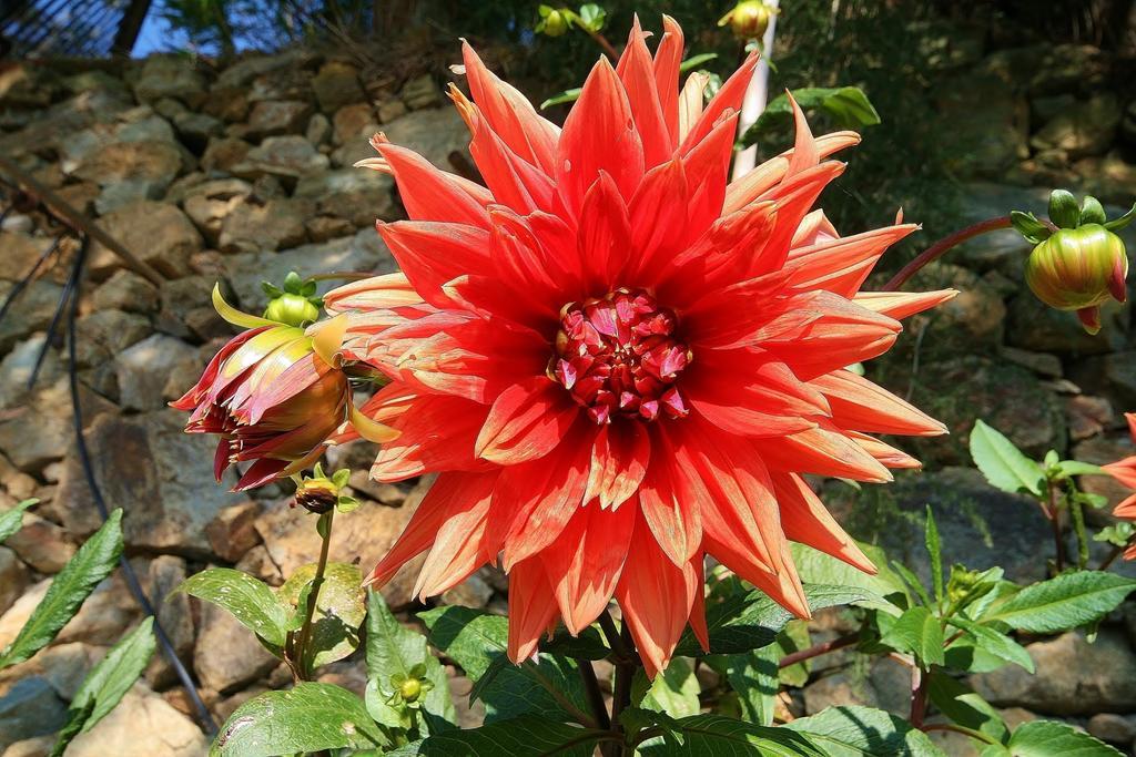 Agriturismo Costamagna Noli Dış mekan fotoğraf